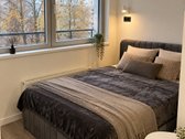 Nuomojamas visiškai naujai įrengtas, dar - nuotraukos Nr. 5