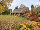 Parduodama Rąstinė Sodyba Su 2,65 Ha Sklypu - nuotraukos Nr. 5