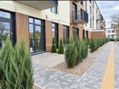 Kaštonų apartamentai – tai naujas, modernus - nuotraukos Nr. 2