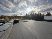 Parduodamas A++ Klasės Vieno Aukšto Namas – - nuotraukos Nr. 15