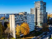 Pietvakarių Saulė Ir Maži Kaštai – Jūsų - nuotraukos Nr. 2