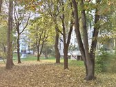 Viršuliškėse Parduodamas Šviesus Ir Šiltas 2k - nuotraukos Nr. 10