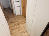 Išnuomojamas naujai įrengtas butas Panevėžyje - nuotraukos Nr. 9