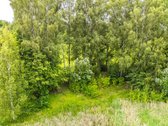  – Nt ekspertai be procentų - nuotraukos Nr. 23