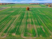 Parduodamas Dirbamos Žemės Sklypas Valdeikių - nuotraukos Nr. 3