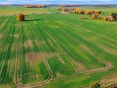 Parduodamas Dirbamos Žemės Sklypas Valdeikių - nuotraukos Nr. 4