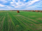Parduodamas Dirbamos Žemės Sklypas Valdeikių - nuotraukos Nr. 7