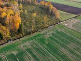 Parduodamas Dirbamos Žemės Sklypas Valdeikių - nuotraukos Nr. 8