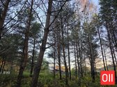 Parduodamas 19,61 Aro Namų Valdos Sklypas Su - nuotraukos Nr. 5