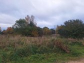 Geroje, vietoje, Didžiuosiuose Gulbinuose, - nuotraukos Nr. 5