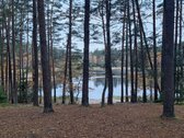 Geroje, vietoje, Didžiuosiuose Gulbinuose, - nuotraukos Nr. 9