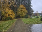 Tvarkingas butas Pasakų parke. - nuotraukos Nr. 2
