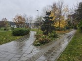 Tvarkingas butas Pasakų parke. - nuotraukos Nr. 3
