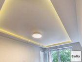  – Nt ekspertai be procentų - nuotraukos Nr. 13