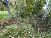 Pro langą norite matyti miškų viršūnių tolius - nuotraukos Nr. 4