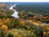 Pro langą norite matyti miškų viršūnių tolius - nuotraukos Nr. 7