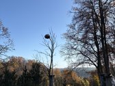 Parduodamas naujos statybos namas. - nuotraukos Nr. 9