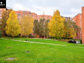 Vilniaus m. sav., Vilniaus m., Jeruzalė - nuotraukos Nr. 24