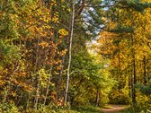 Parduodamas 2 Kambarių Butas Lazdynėliuose, - nuotraukos Nr. 17