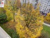 Jaukus 1 Kambario Butas Šeškinėje - nuotraukos Nr. 16