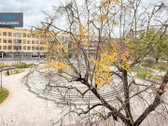 Pačioje Panevėžio Miesto Širdyje - Laisvės - nuotraukos Nr. 13
