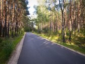 Parduodamas Erdvus Dvibutis Namas Ramioje, - nuotraukos Nr. 14