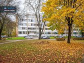 Nuomojamas Naujai Įrengtas 1 Kambario Butas M - nuotraukos Nr. 17