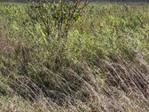 Parduodamas zemes ukio paskirties sklypas - nuotraukos Nr. 2