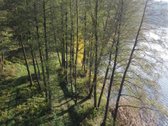 Parduodamas unikalus 32,5 ha žemės ūkio - nuotraukos Nr. 6