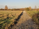 Klaipėdos r. Vanagų k. Parduodama sodyba - nuotraukos Nr. 12