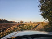 Klaipėdos r. Vanagų k. Parduodama sodyba - nuotraukos Nr. 19