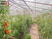 Parduodamas Mūrinis Sodo Namas Su 6 Arų - nuotraukos Nr. 14