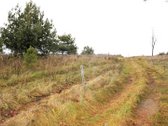 Parduodamas 20 arų sklypas Arnionių II k., - nuotraukos Nr. 11