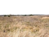 Parduodamas 20 arų sklypas Arnionių II k., - nuotraukos Nr. 12
