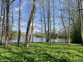Senovinis Akmeninis Pastatas Prie Tvenkinio – - nuotraukos Nr. 10