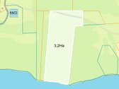 Parduodamas 3,2 Ha Miško Sklypas Su Juodžio - nuotraukos Nr. 5