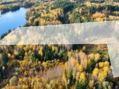 Parduodamas 3,2 Ha Miško Sklypas Su Juodžio - nuotraukos Nr. 2
