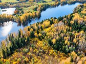 Parduodamas 3,2 Ha Miško Sklypas Su Juodžio - nuotraukos Nr. 3
