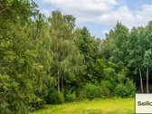  – Nt ekspertai be procentų - nuotraukos Nr. 37