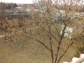 2 k. butas Tulpių g. namas dalinai renovuotas - nuotraukos Nr. 15