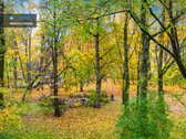 Nuomojamas Šviesus 2 Kambarių Butas - nuotraukos Nr. 22