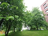 Parduodamas 3 K. Butas, Su Balkonu, - nuotraukos Nr. 4