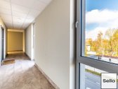  – Nt ekspertai be procentų - nuotraukos Nr. 24