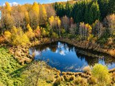 Parduodama Sodyba Su 13,5 Ha Žemės Trakų - nuotraukos Nr. 5