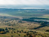 Parduodamas 3,0821 Ha Žemės Sklypas Palangoje - nuotraukos Nr. 4