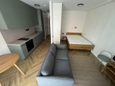 Nuomojamas kokybiškai įrengtas 30 m² vieno - nuotraukos Nr. 4