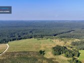 Parduodamas 10,8 ha žemės ūkio paskirties - nuotraukos Nr. 4