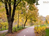 Paupyje, šalia Vilnelės pakrantės, parduodami - nuotraukos Nr. 18