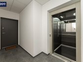 Išskirtinis 3 Kambarių Butas Prie Ozo Parko  - nuotraukos Nr. 25