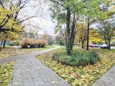 Būstas, užtikrinantis judėjimo laisvę net ir - nuotraukos Nr. 18
